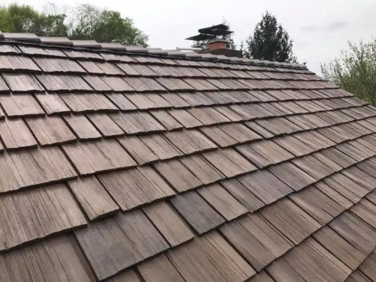 Serve Roofing